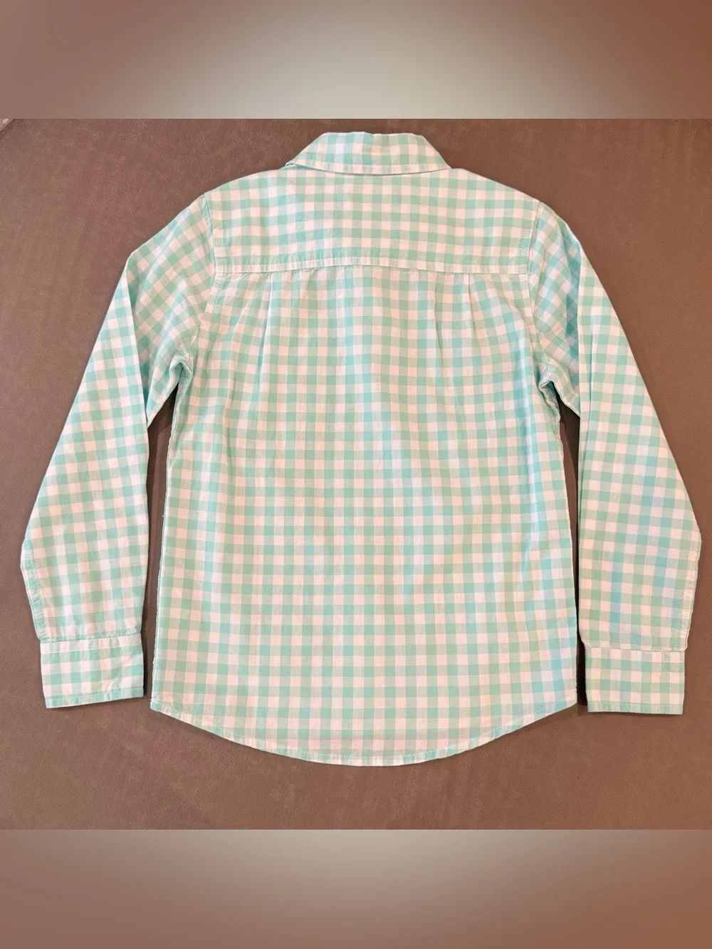 The Children’s Place Boys 5/6 Gingham Button Down Shirt Aqua NWT